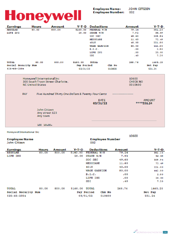 Download USA Honeywell conglomerate company pay stub Word Photoshop template